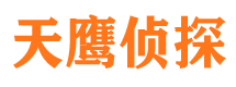 银海侦探公司